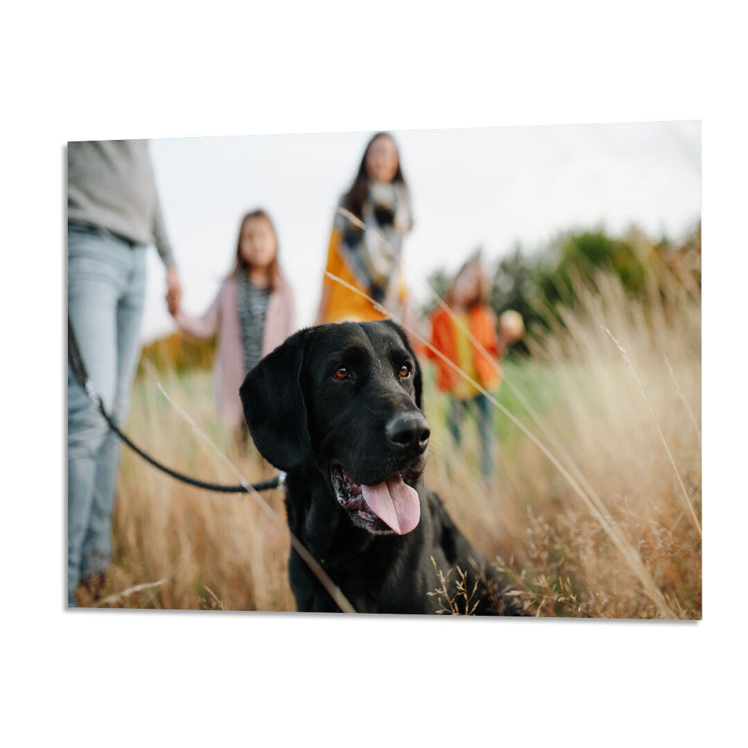 Large Photo Prints | High Quality Gloss Finish | Multiple Sizes Available | Boots Photo