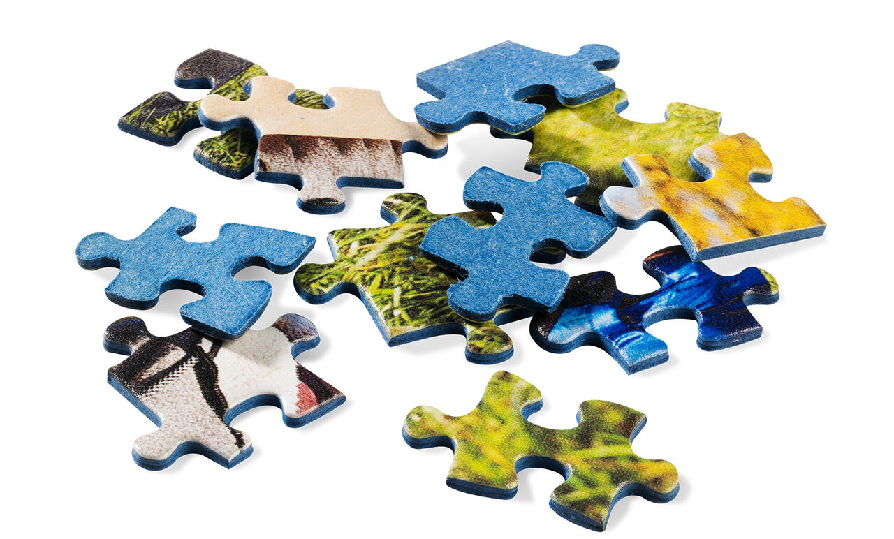 Image Puzzle Save 35%, 57% OFF | aarav.co